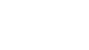 carrier-300x169.png