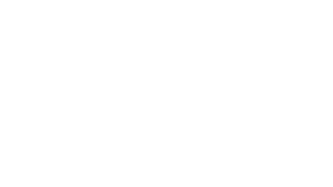 lg-300x169.png